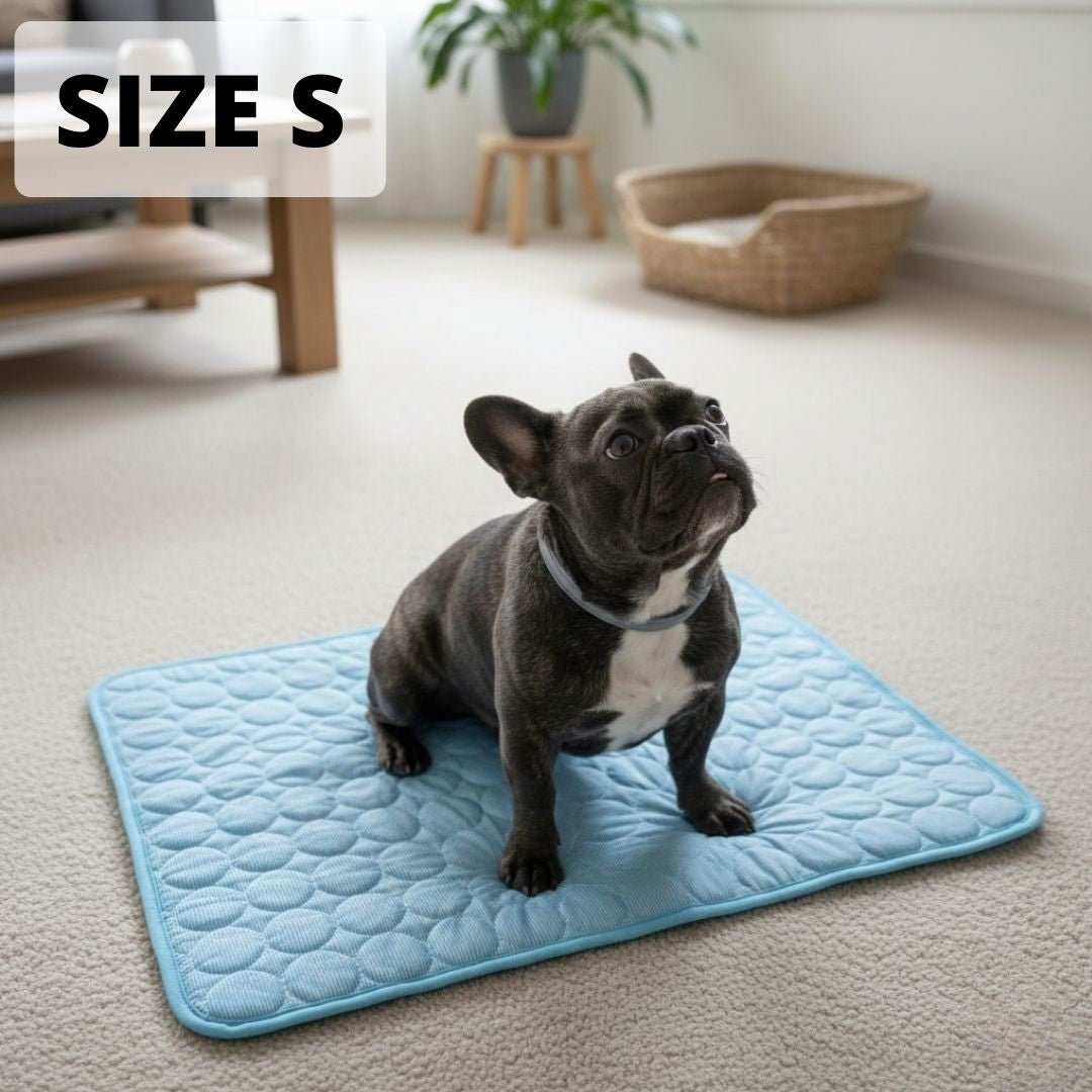 Arctic™ Cooling Dog Mats - Cooling AussiesCooling AussiesArctic™ Cooling Dog Mats