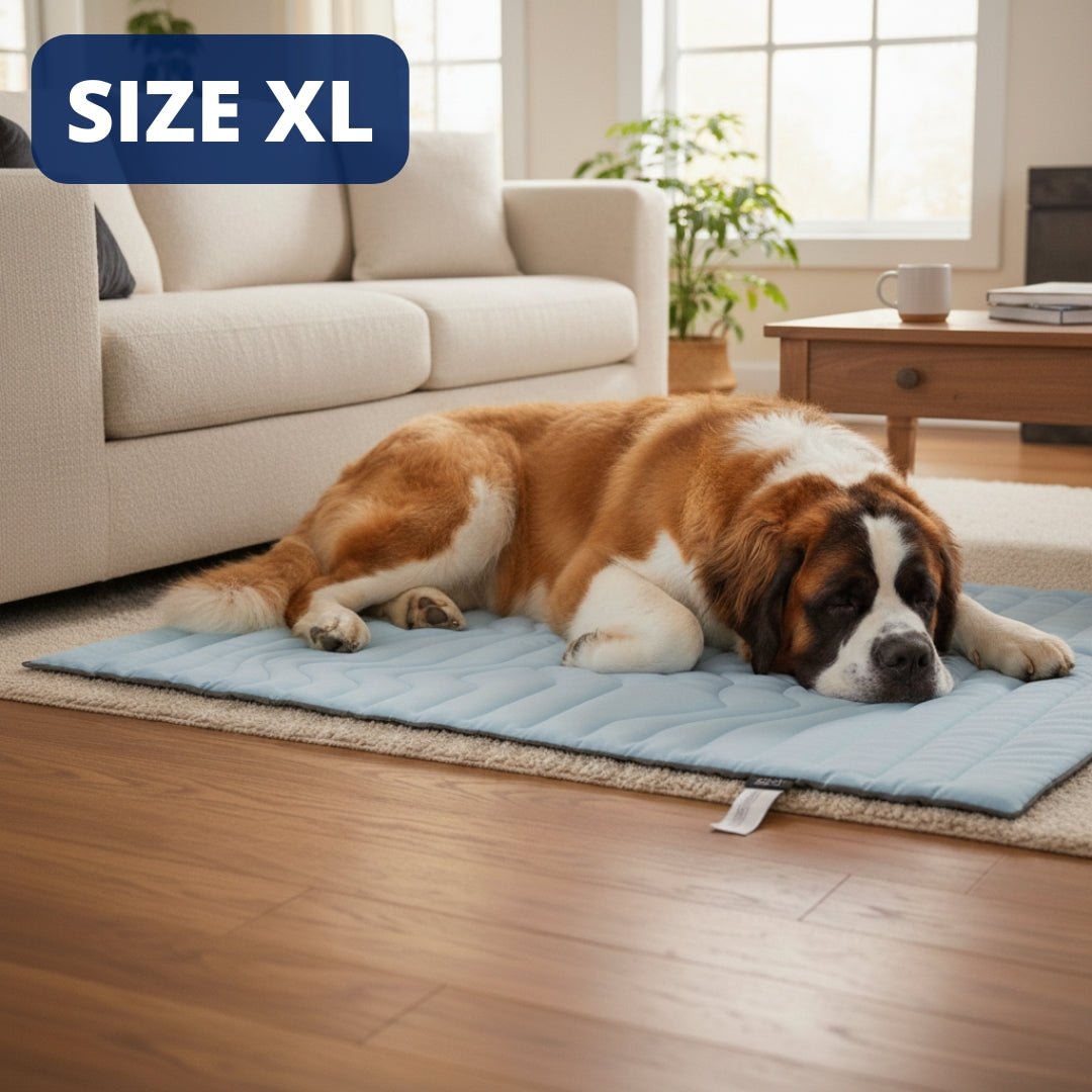 Arctic™ Dog Mat Premium - Cooling AussiesCooling AussiesArctic™ Dog Mat Premium