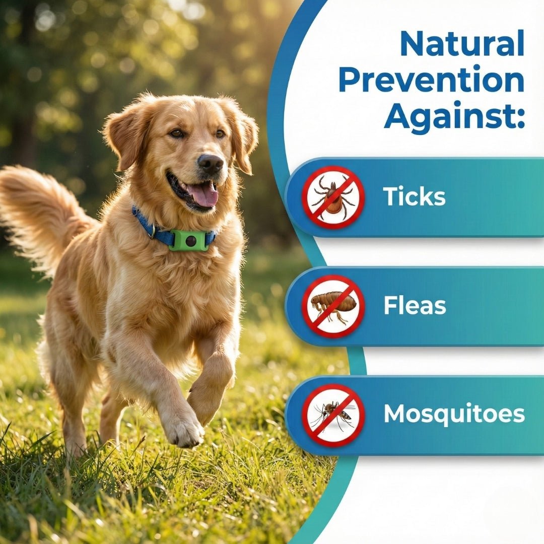 EcoTick - 12 Months Flea and Tick Free - Cooling AussiesCooling AussiesEcoTick - 12 Months Flea and Tick Free
