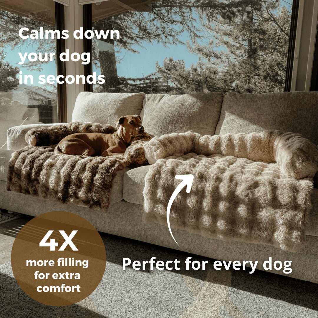 Only Relief Luxurious Sofa Bed - Only ReliefOnly ReliefOnly Relief Luxurious Sofa Bed