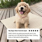 Arctic™ Cooling Dog Mats - Cooling AussiesCooling AussiesArctic™ Cooling Dog Mats