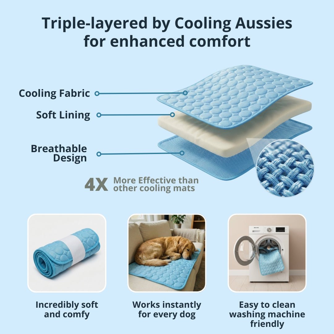 Arctic™ Cooling Dog Mats - Cooling AussiesCooling AussiesArctic™ Cooling Dog Mats