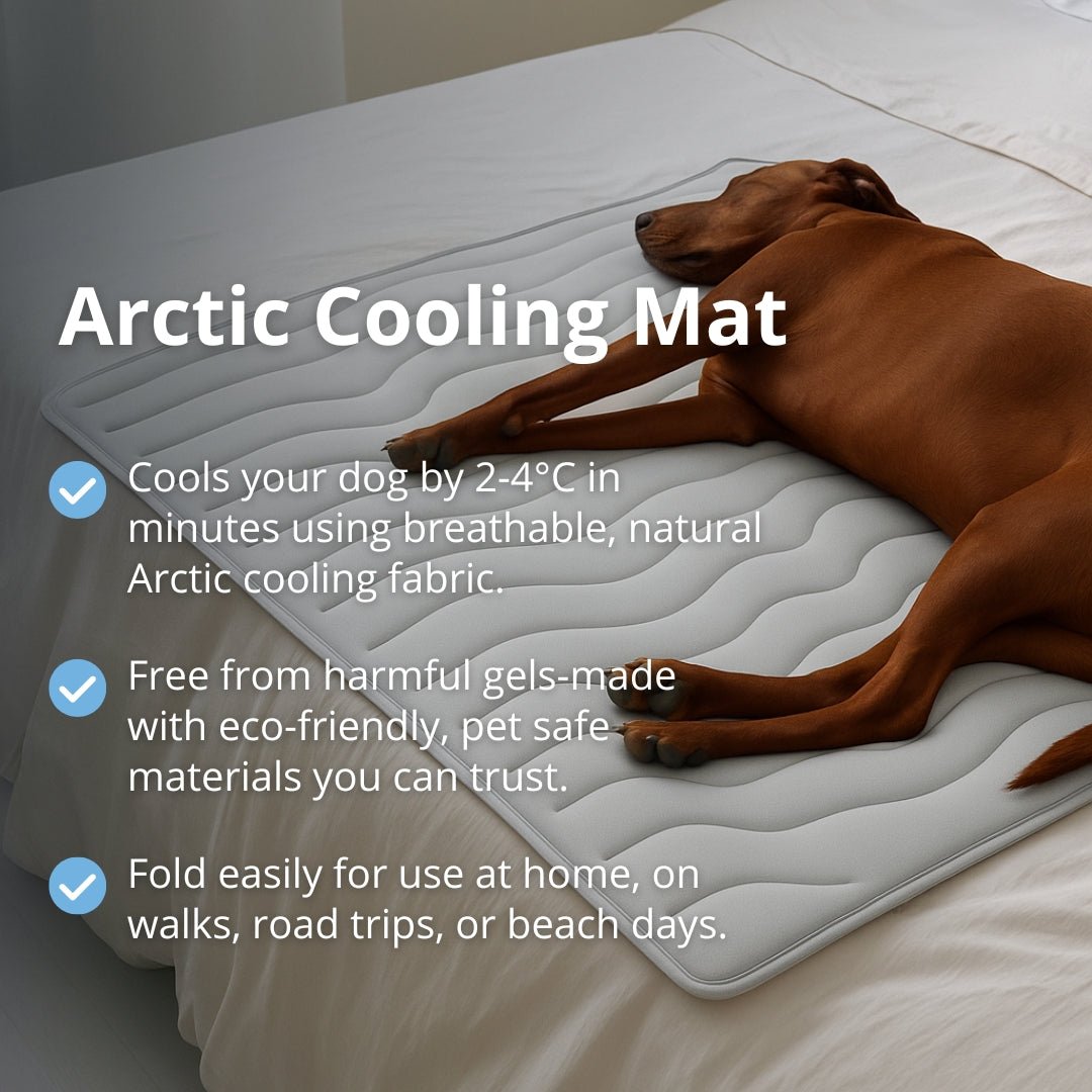 Arctic™ Dog Mat Premium - Cooling AussiesCooling AussiesArctic™ Dog Mat Premium