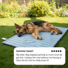 Arctic™ Dog Mat Premium - Cooling AussiesCooling AussiesArctic™ Dog Mat Premium