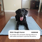 Arctic™ Dog Mat Premium - Cooling AussiesCooling AussiesArctic™ Dog Mat Premium