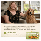 Dog - Only ReliefOnly ReliefDog