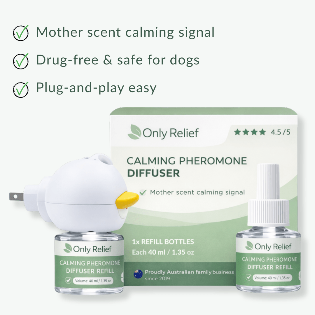 Dog - Only ReliefOnly ReliefDog