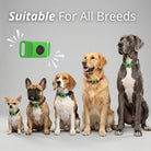 EcoTick - 12 Months Flea and Tick Free - Cooling AussiesCooling AussiesEcoTick - 12 Months Flea and Tick Free