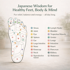 Insole - Only ReliefOnly ReliefInsole