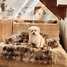 Only Relief Luxurious Sofa Bed - Only ReliefOnly ReliefOnly Relief Luxurious Sofa Bed