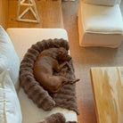 Only Relief Luxurious Sofa Bed - Only ReliefOnly ReliefOnly Relief Luxurious Sofa Bed