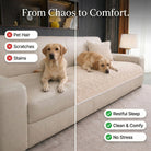 Only Relief™ Pet Couch Cover - Only ReliefOnly ReliefOnly Relief™ Pet Couch Cover
