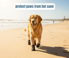 PawSafe™ Dog Shoe - Set of 4 - Cooling AussiesCooling AussiesPawSafe™ Dog Shoe - Set of 4